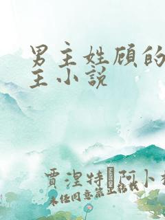 男主姓顾的双男主小说 男主姓顾的双男主小说