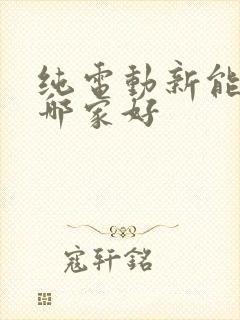 纯电动新能源车哪家好