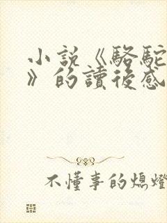 小说《骆驼祥子》的读后感