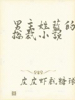男主姓蓝的霸道总裁小说