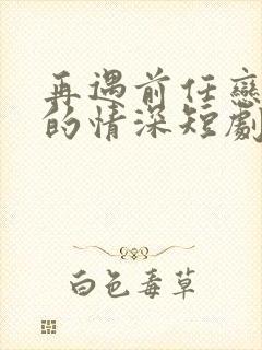 再遇前任恋上他的情深短剧免费观看大结局