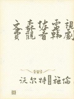 文森佐电视剧免费观看韩剧