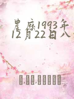 农历1993年12月22日八字算命