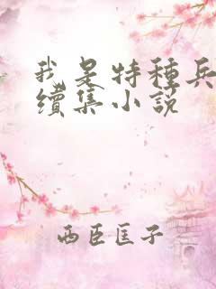 我是特种兵小庄续集小说