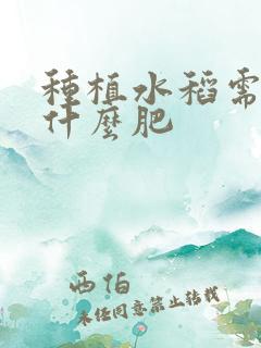 种植水稻需要施什么肥