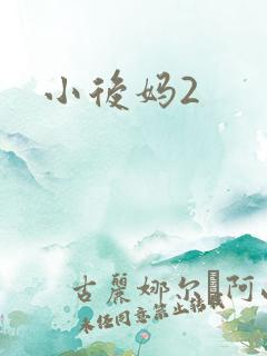 小后妈2