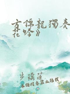 方锦龙独奏《葬花吟》 方锦龙独奏《葬花吟》