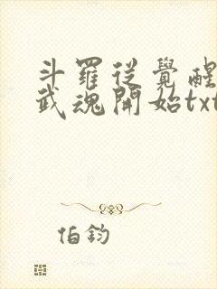 斗罗从觉醒朱雀武魂开始txt下载