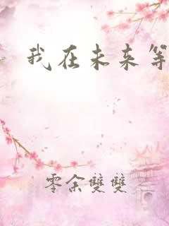 我在未来等你.