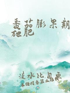 番茄膨果期怎么施肥