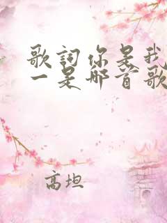 歌词你是我的唯一是哪首歌的歌词