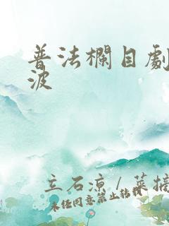 普法栏目剧谢洪波
