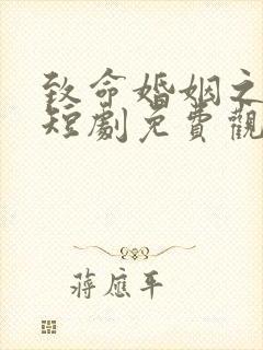 致命婚姻之新生短剧免费观看全集