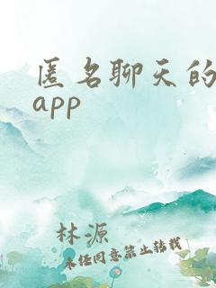 匿名聊天的社交app