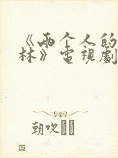 《两个人的小森林》电视剧