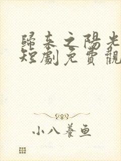 归来之阳光绽华短剧免费观看 归来之阳光绽华短剧免费观看