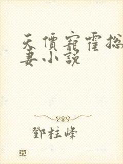 天价宠霍总小娇妻小说