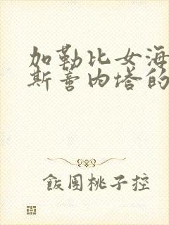 加勒比女海盗2斯蒂内塔的复仇免费观看