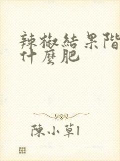 辣椒结果阶段施什么肥