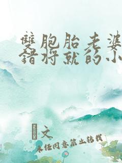 双胞胎老婆被认错将就的小说