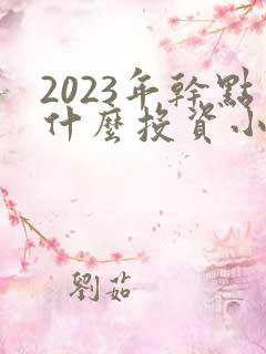 2023年干点什么投资小的生意好