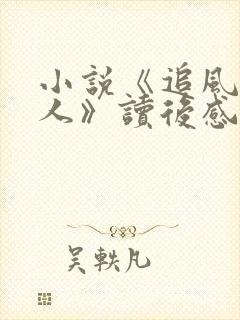 小说《追风筝的人》读后感800字