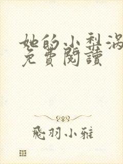她的小梨涡正版免费阅读