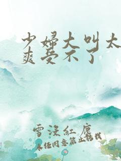少妇大叫太大太爽受不了