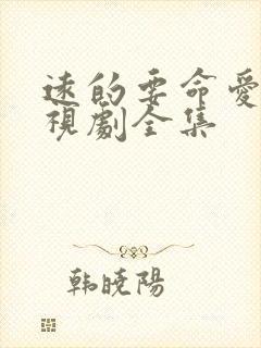 远的要命爱情电视剧全集