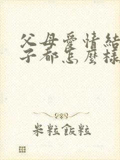 父母爱情结局孩子都怎么样