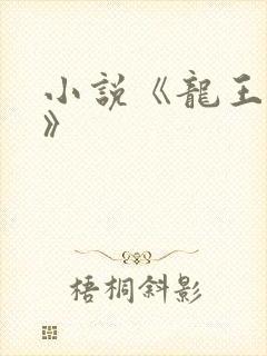 小说《龙王医婿》