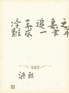 冷王追妻之医妃难求 一笔年华