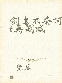 剑名不奈何txt无删减 剑名不奈何txt无删减
