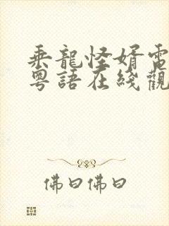 乘龙怪婿电视剧粤语在线观看