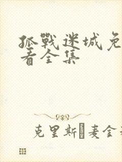 孤战迷城免费观看全集