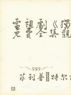 电视剧《独狼》免费全集观看