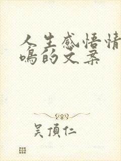 人生感悟情感共鸣的文案