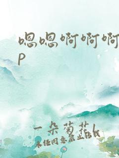嗯嗯啊啊啊啊np
