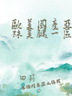 欧美国产亚洲丝袜美腿一区