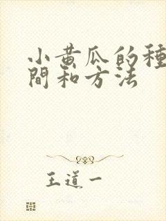 小黄瓜的种植时间和方法