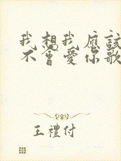 我想我应该应该不会爱你歌词