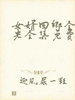 女婿回乡全村风光全集免费