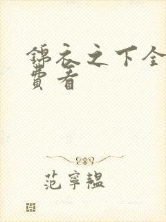 锦衣之下全集免费看