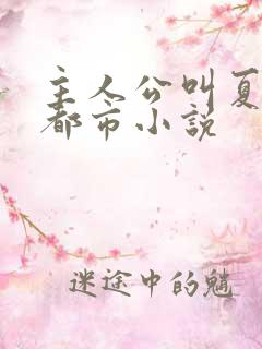 主人公叫夏凡的都市小说