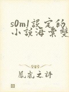 s0m1设定的小说海棠双男主