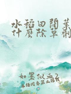 水稻田阔叶草用什么除草剂