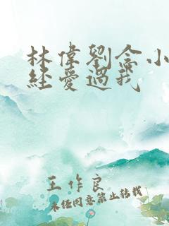 林伟刘念小说曾经爱过我