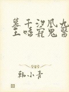 慕千汐凰九夜邪王嗜宠鬼医狂妃无弹窗 慕千汐凰九夜邪王嗜宠鬼医狂妃无弹窗