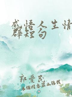 感悟人生情感精辟短句