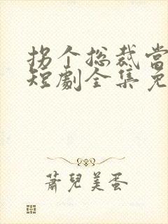 拐个总裁当爹地短剧全集免费观看